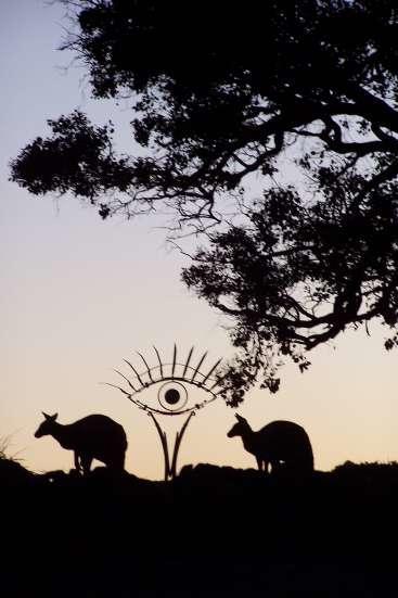 Inspiring Views B&B Wodonga Buitenkant foto