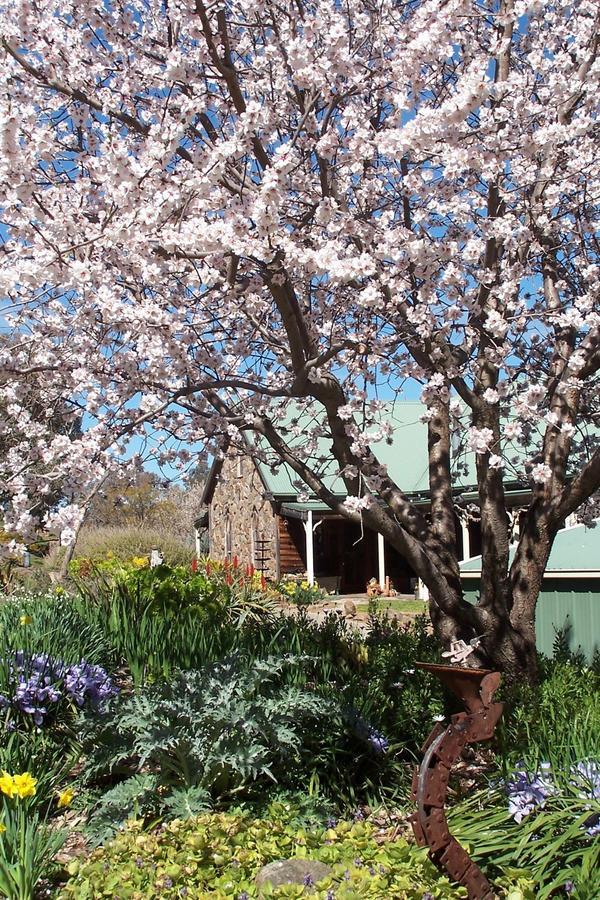 Inspiring Views B&B Wodonga Buitenkant foto