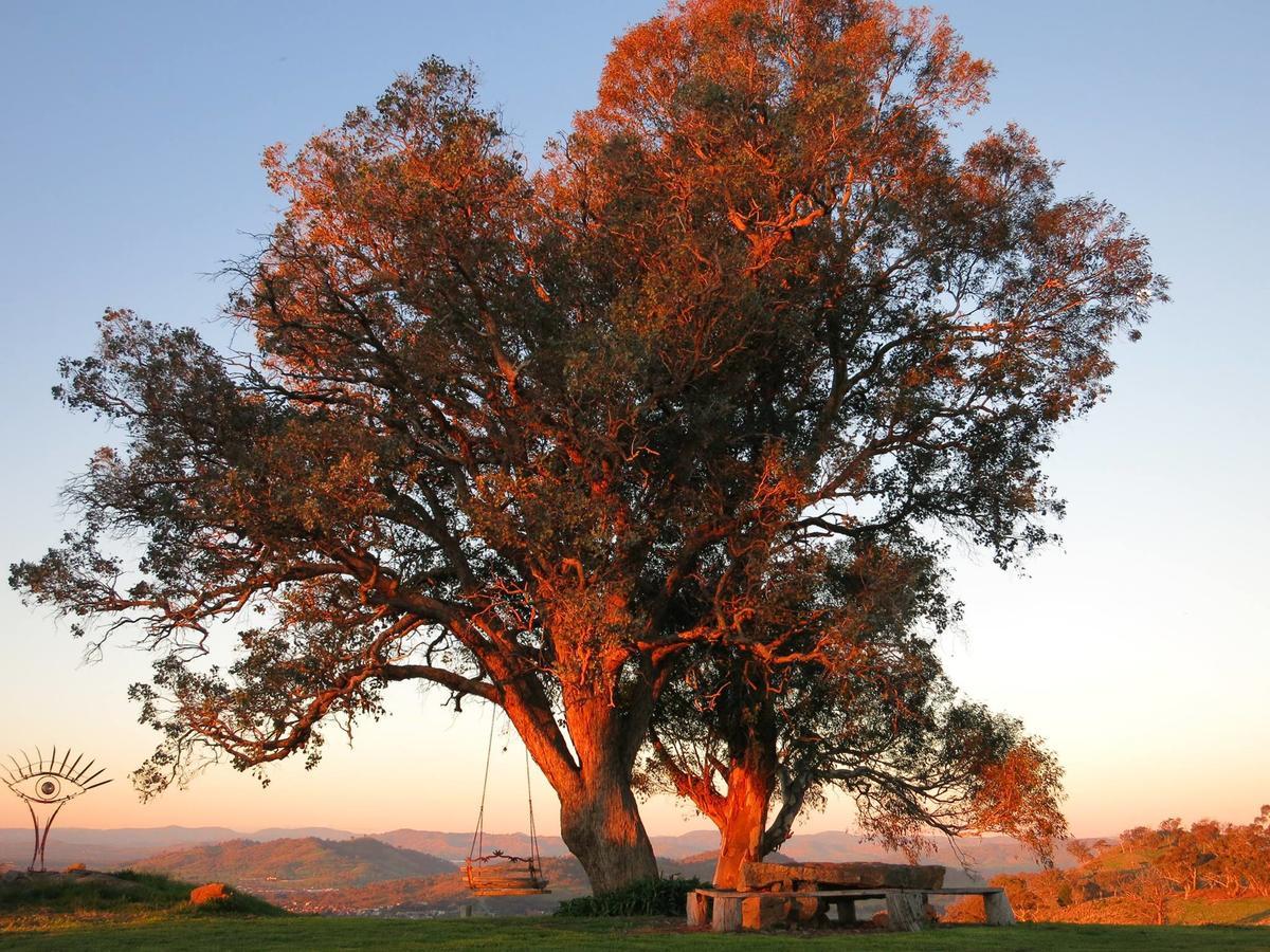 Inspiring Views B&B Wodonga Buitenkant foto